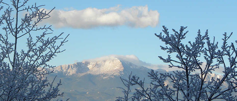 Colorado Blue