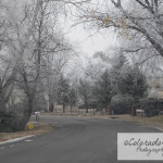 Co-White-12